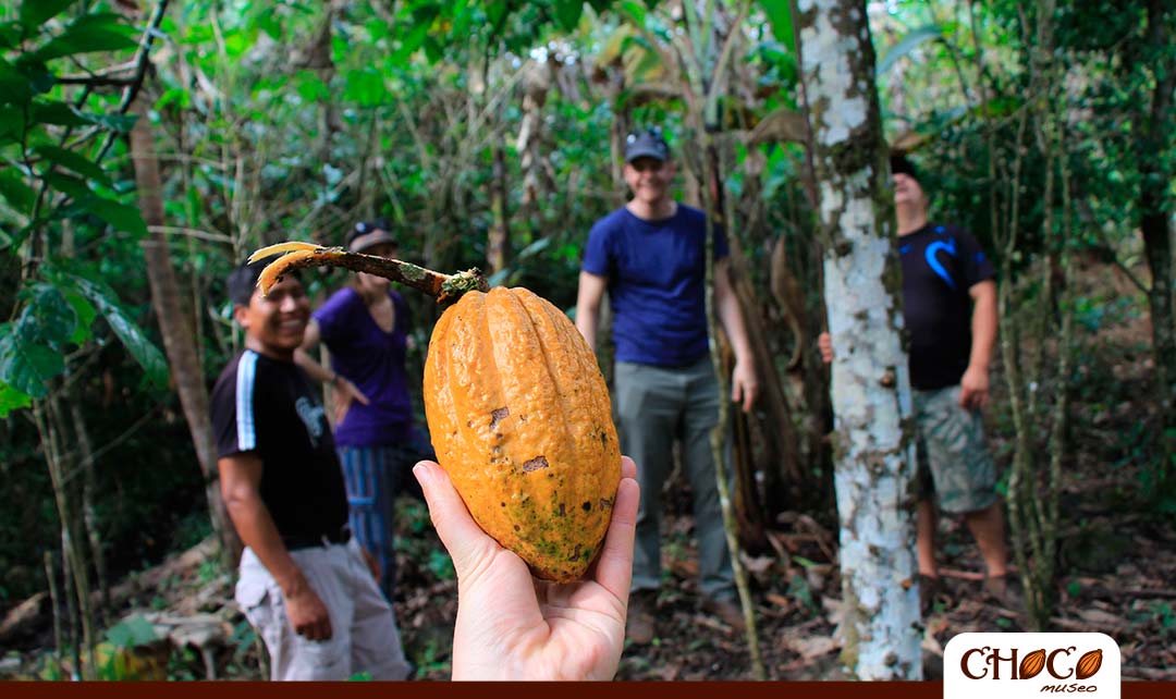 Un recorrido por una granja orgánica