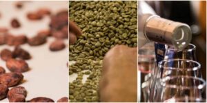 Peruvian Tasting Explorer